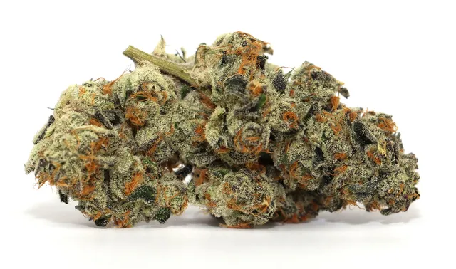 VIOLET FOG🔥🔥 (7Leaves) 3.5g INDICA - Image 2
