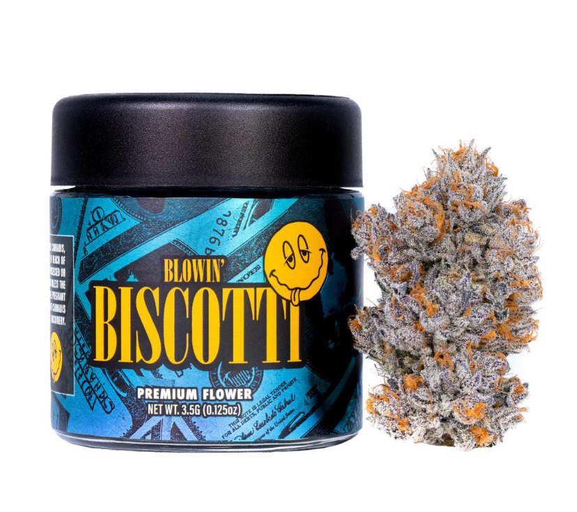 BLOWING BISCOTTI 3.5 (CONNECTED) INDICA - Image 2