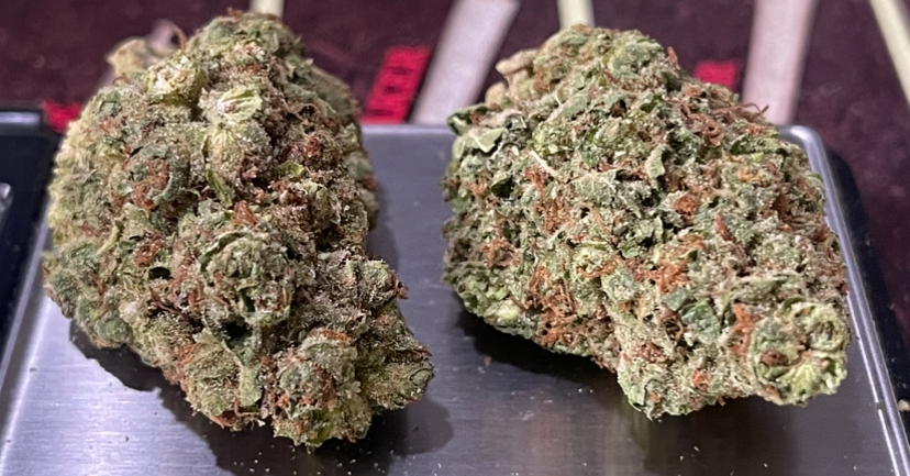 GASLATO 28g OZ ON SALE HYBRID 🔥🔥 - Image 4
