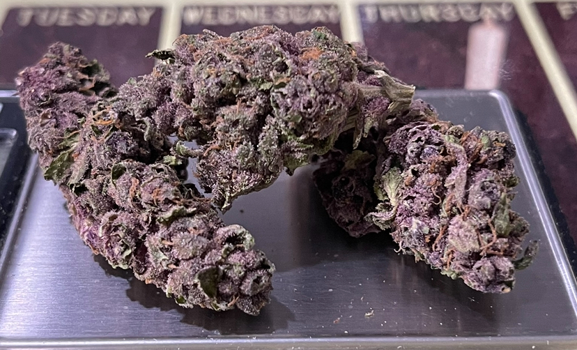 Purple haze 28g SATIVA OZ ON SALE🔥🔥26%THC - Image 8