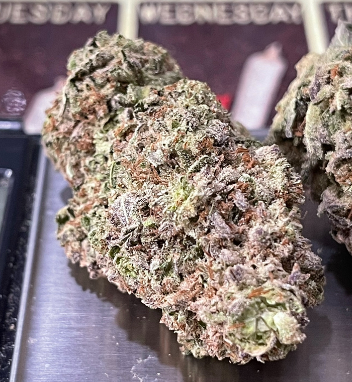 GELATO ICE 28g OZ ON SALE HYBRID 🔥🔥 - Image 4