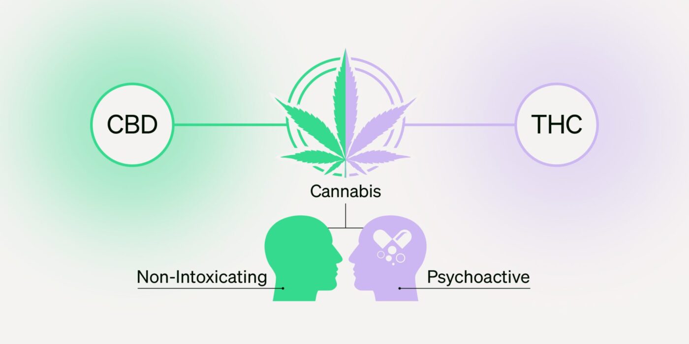 Weed Delivery New York City | Cannabis Delivery Near Me | Marijuana Delivery NYC