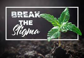 Weed Delivery New York City | Cannabis Delivery Near Me | Marijuana Delivery NYC